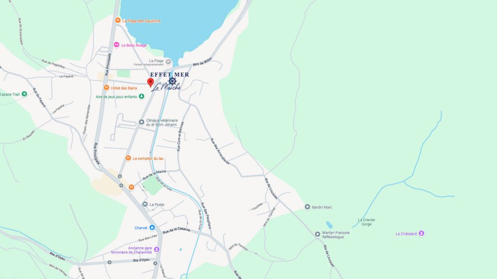 plan-le-marche-charavines